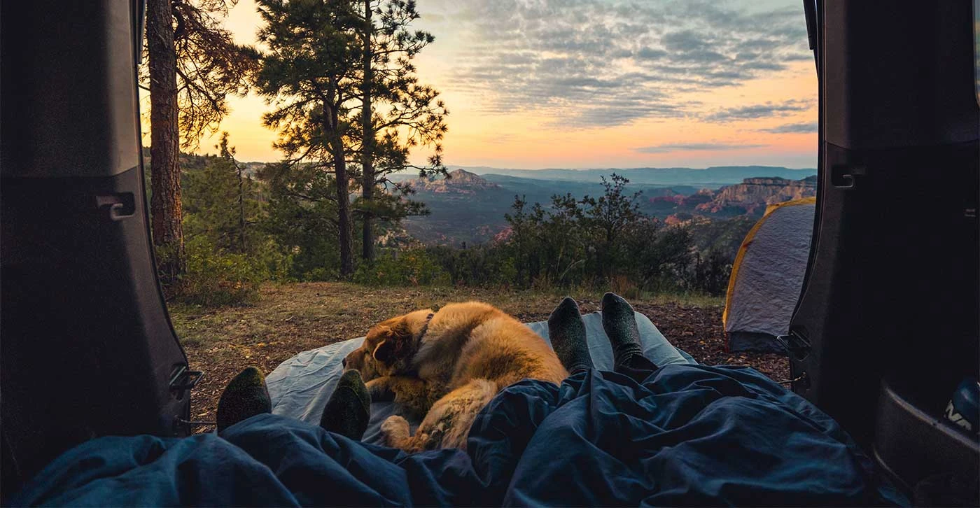 Camping in Zen Style: The Magic of Nature and Inner Peace